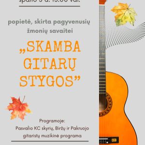 skamba gitarų stygos