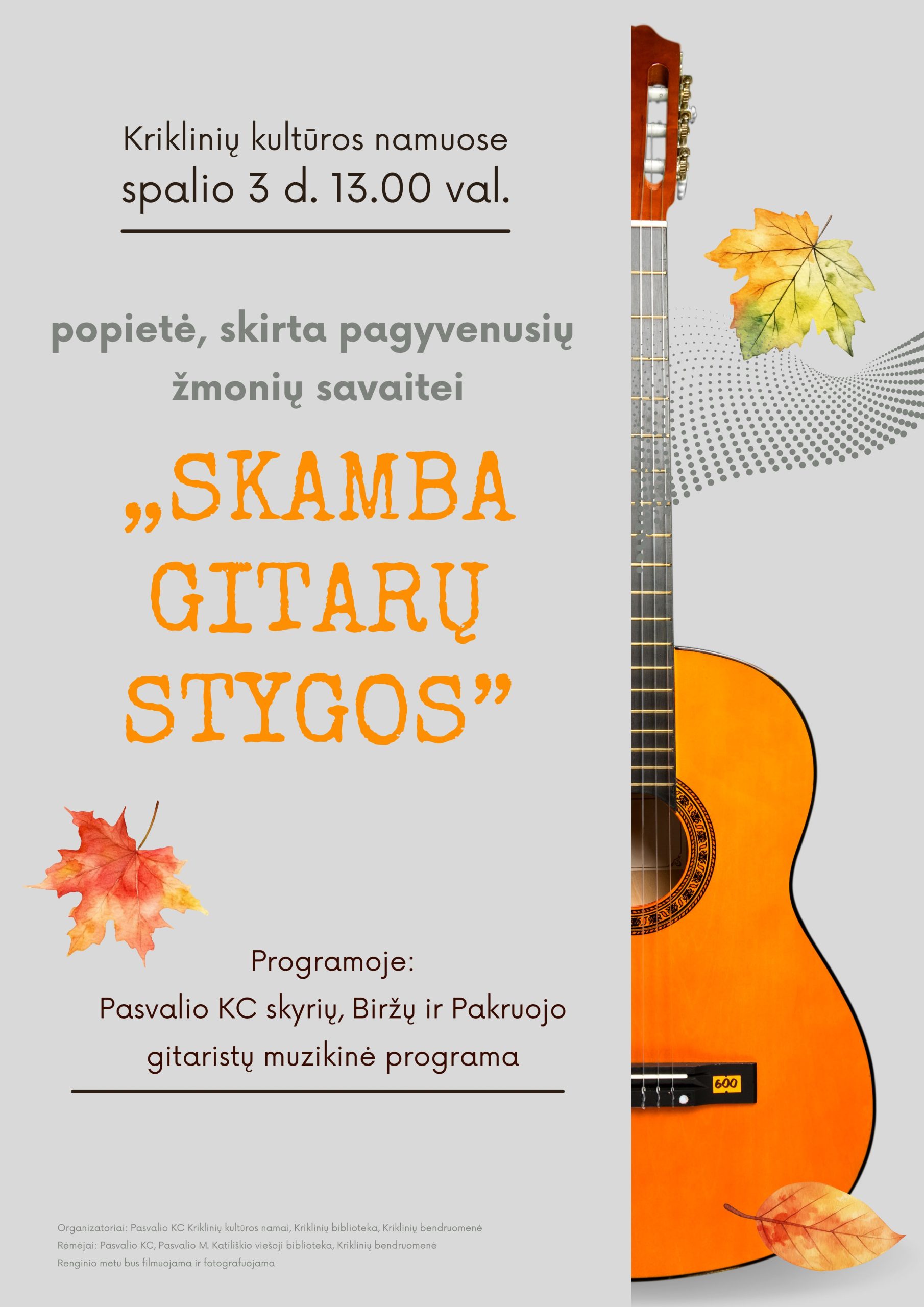 skamba gitarų stygos