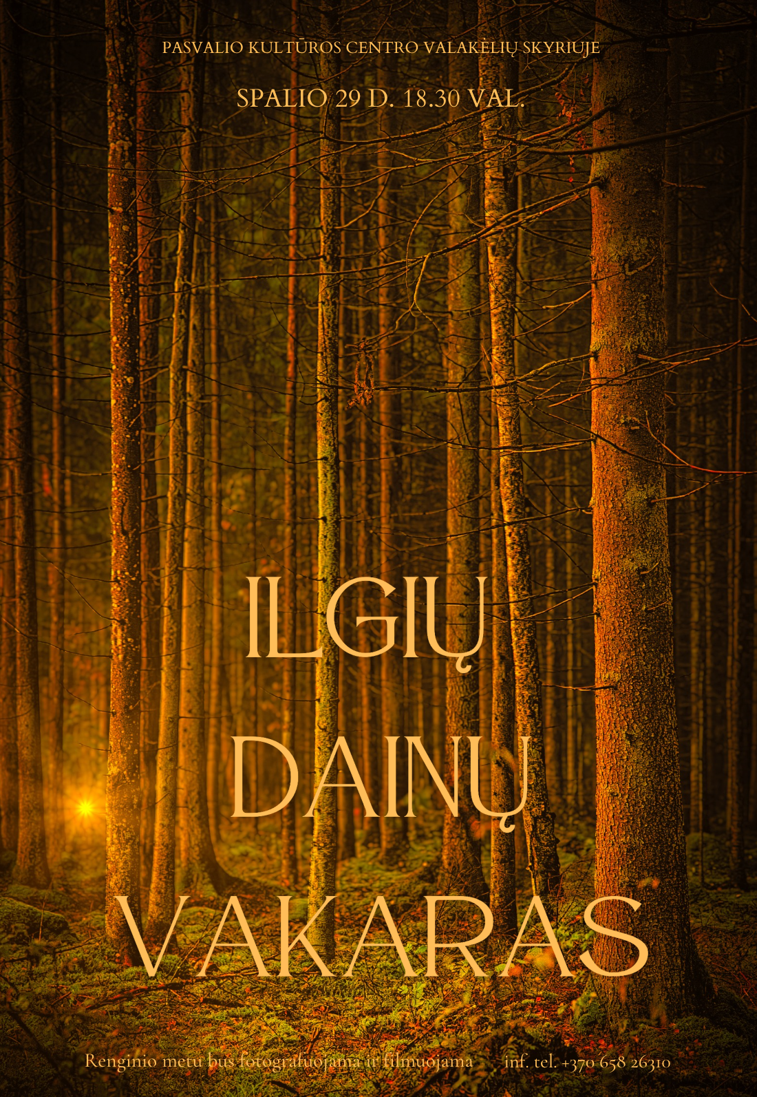 Ilgių dainų vakatas